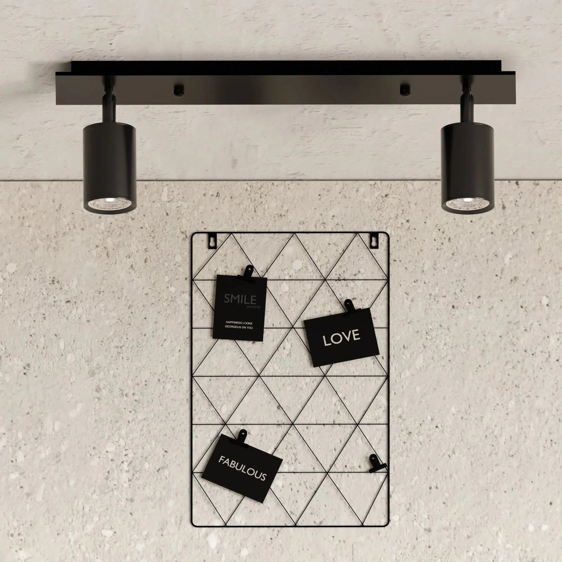 Ceiling Light