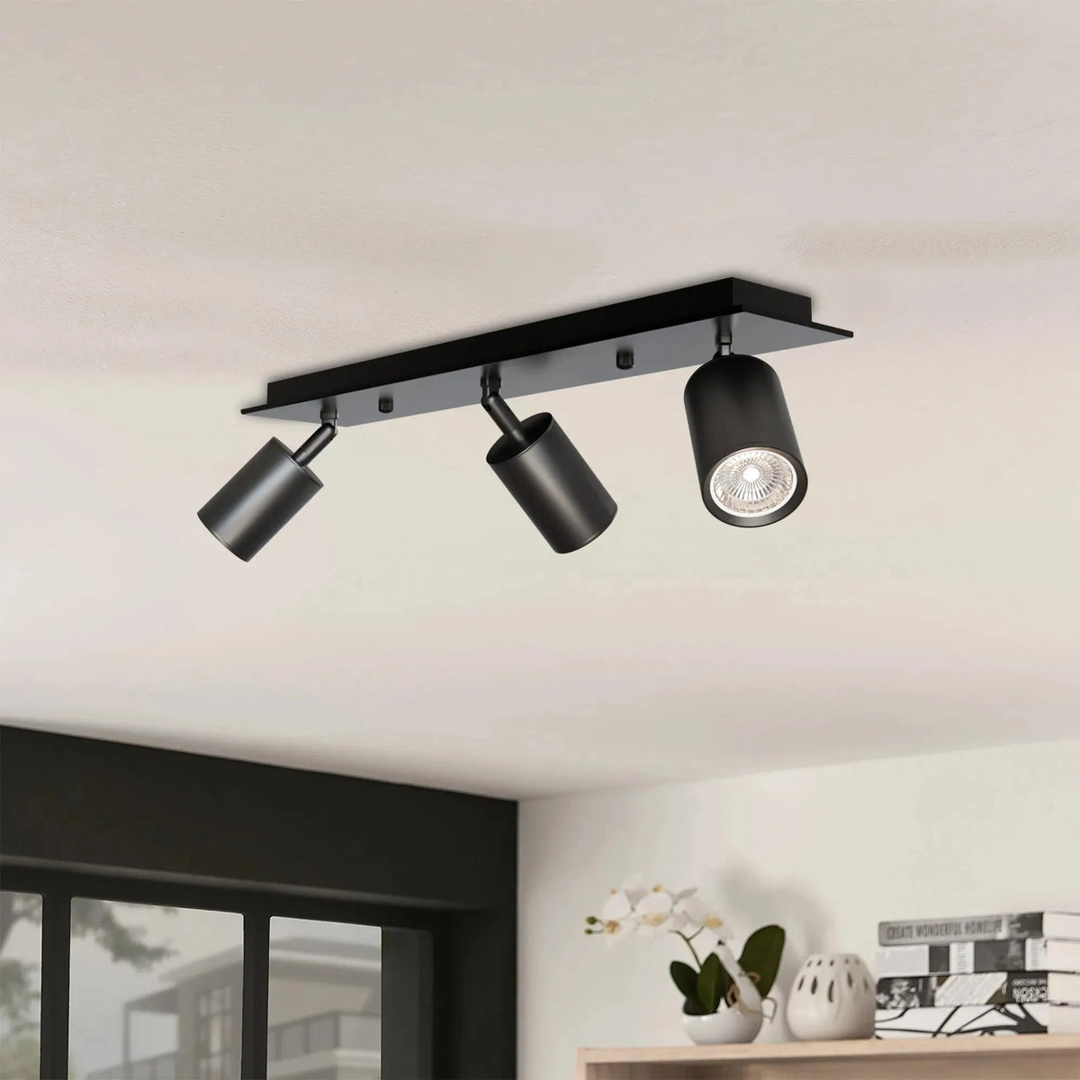 Ceiling Light