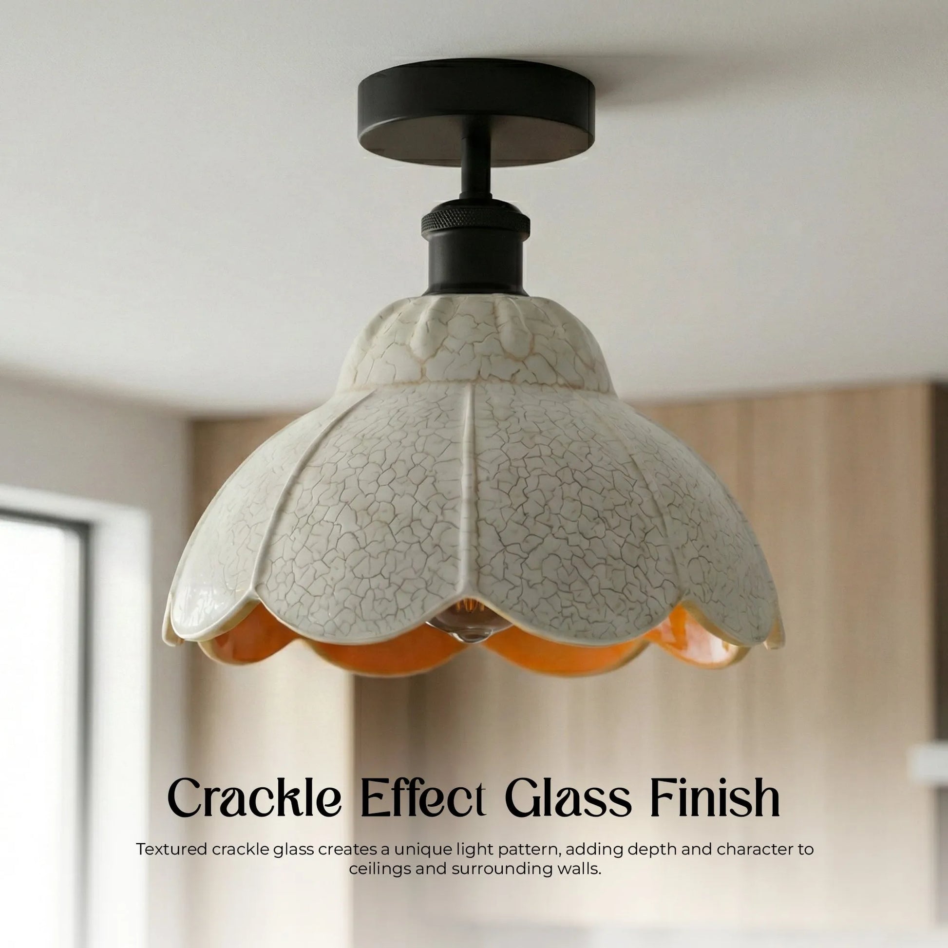 Ceiling Light