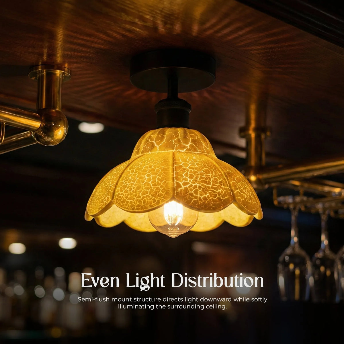 Ceiling Light