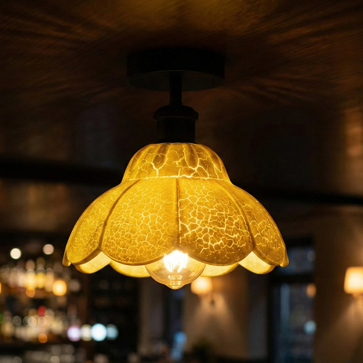 Ceiling Light