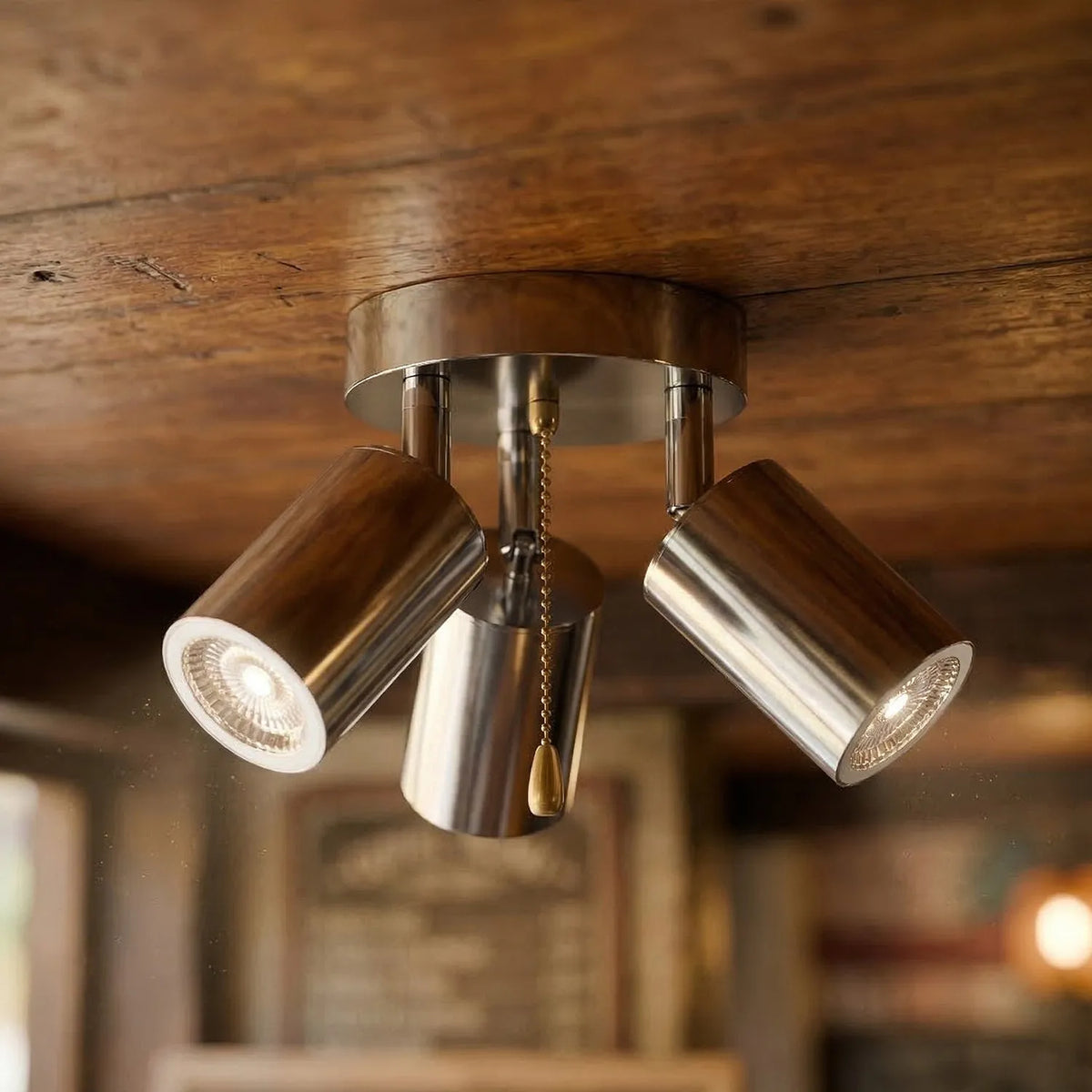 Ceiling Light