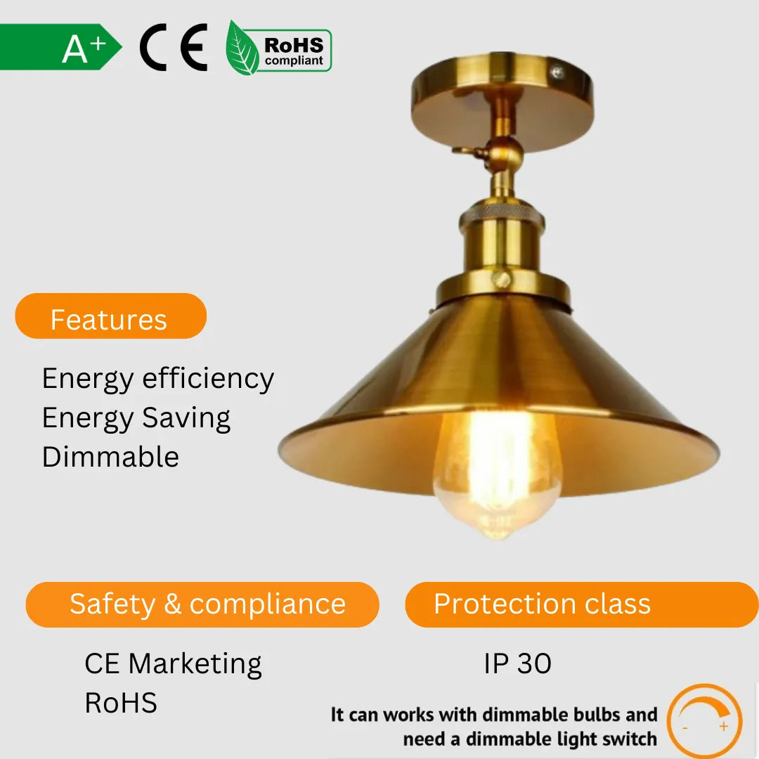 Ceiling_Lamp_Lights