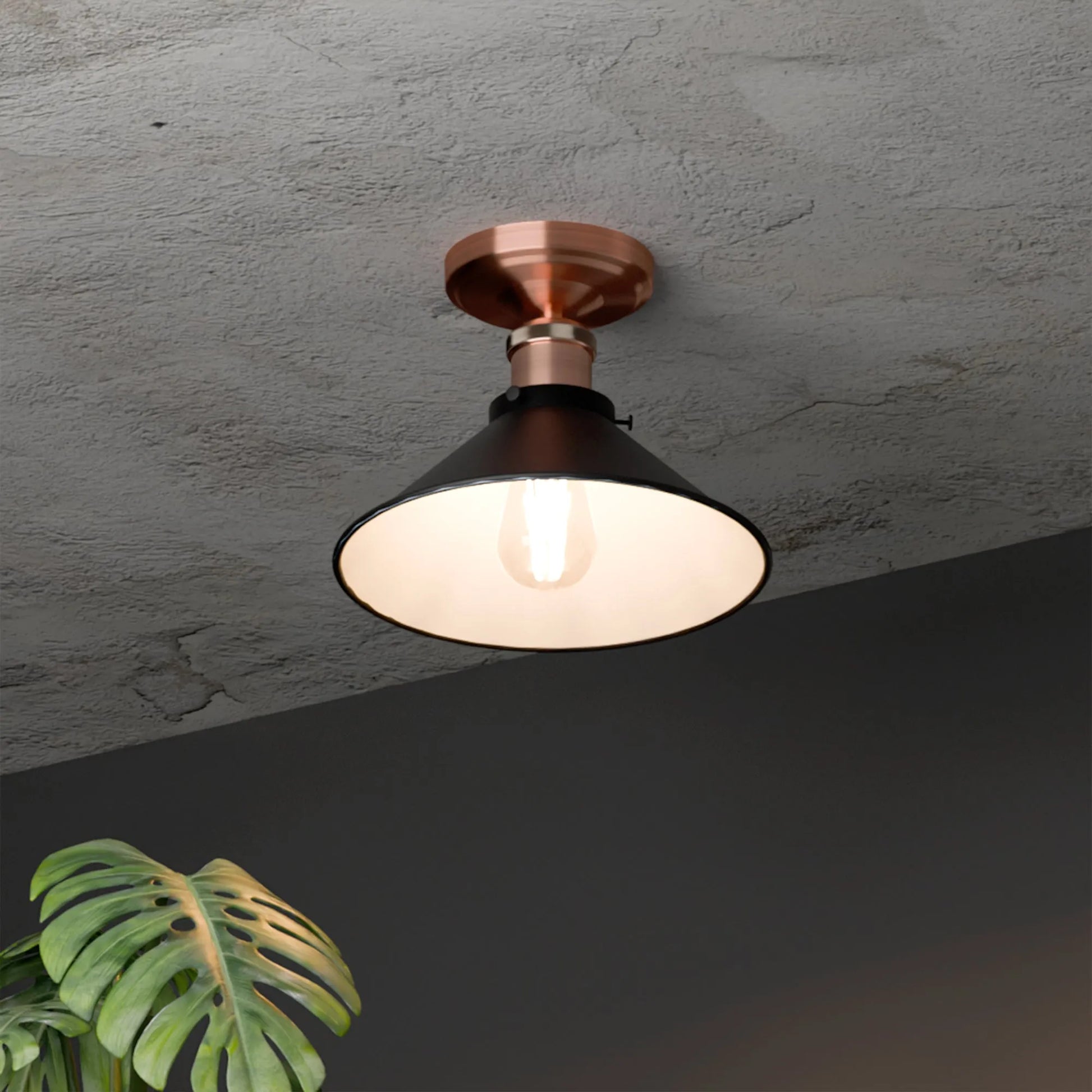 Ceiling Light