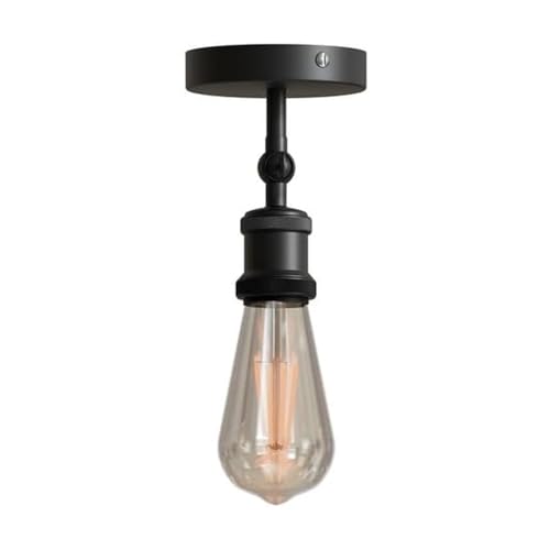 adjustable light fixture ceili