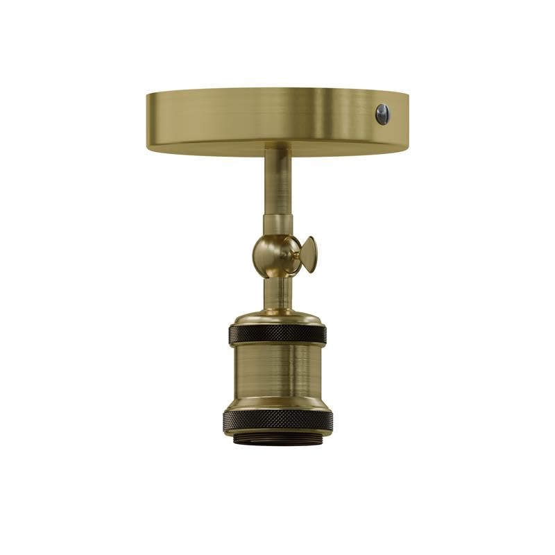 adjustable light fixture ceili