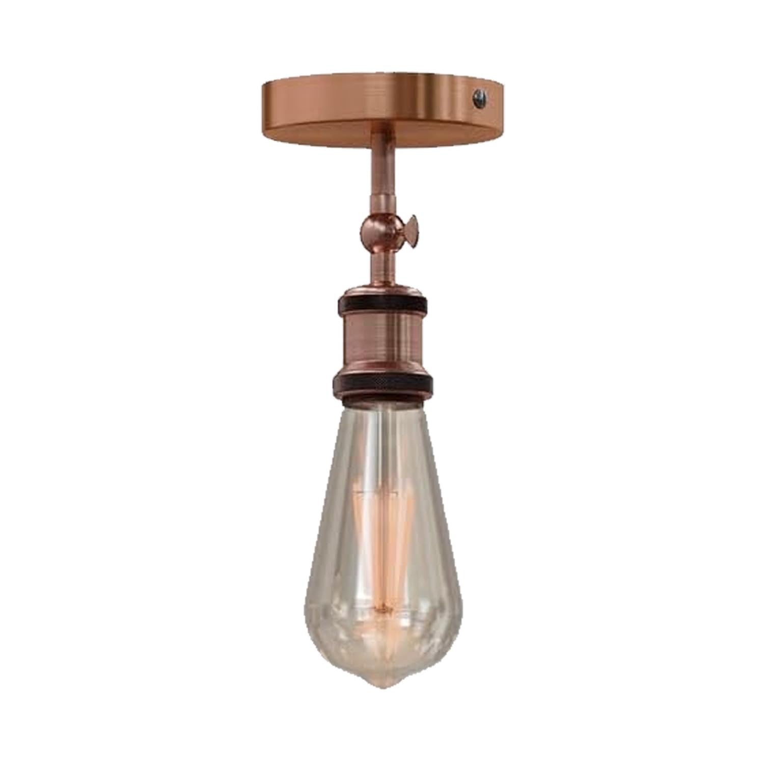 adjustable light fixture ceili