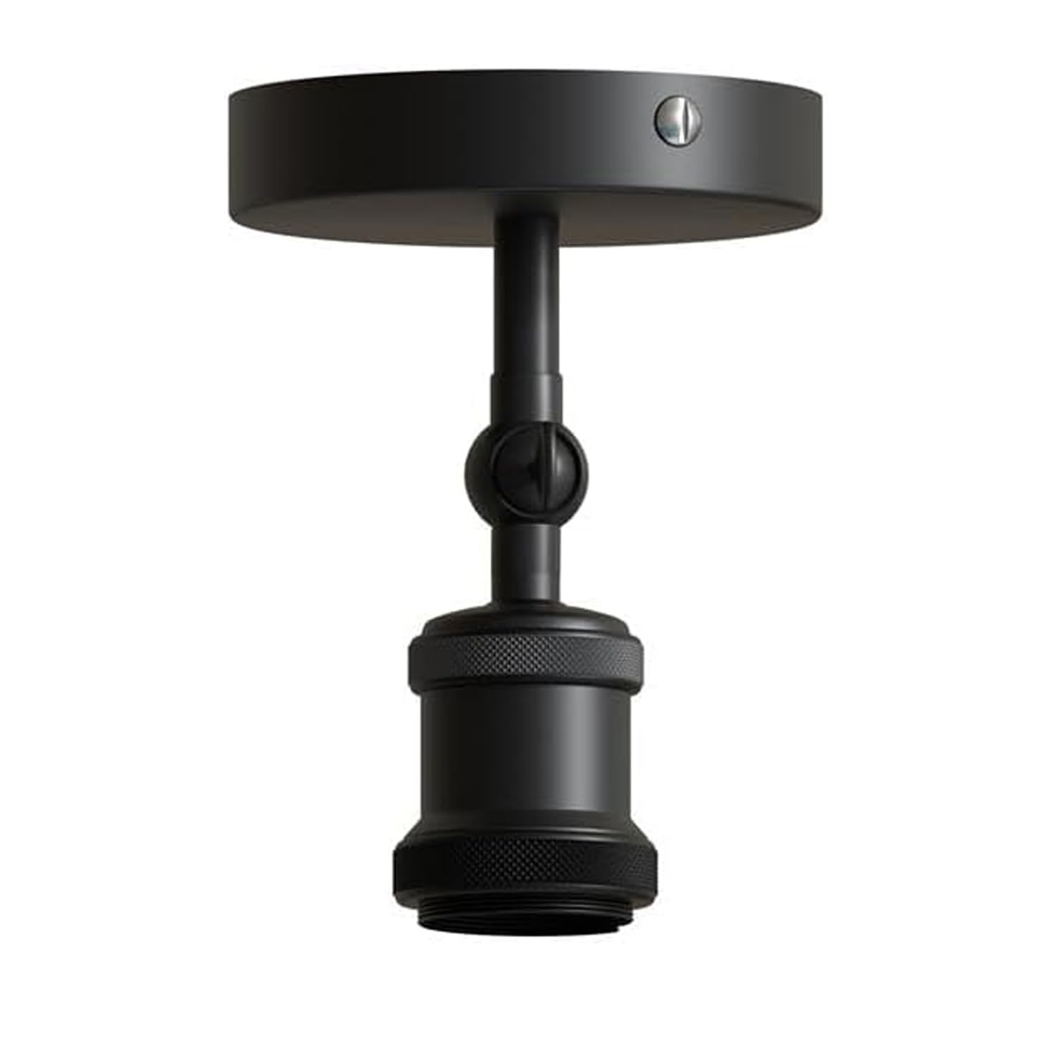 adjustable light fixture ceili