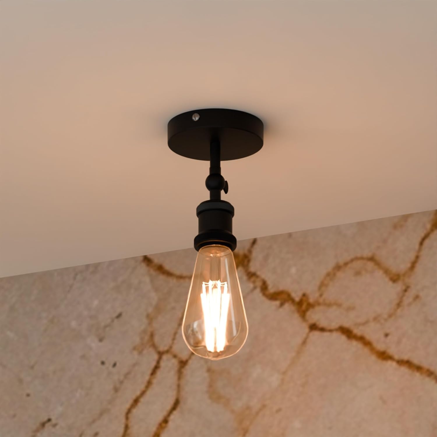adjustable light fixture ceili