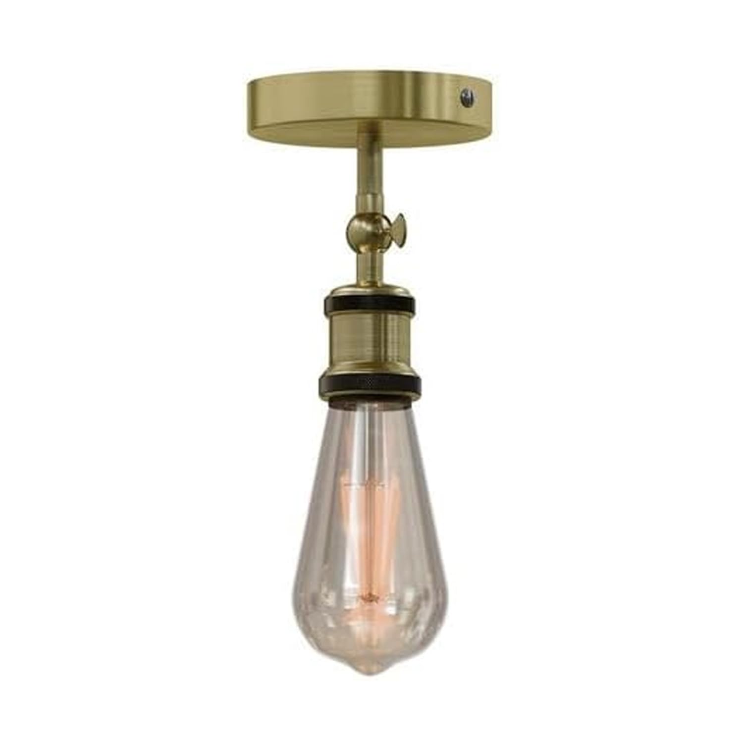 adjustable light fixture ceili