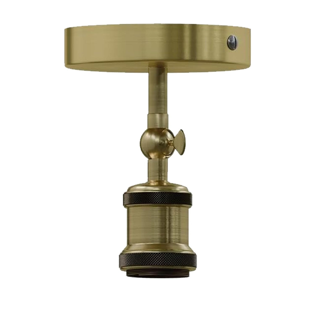 adjustable light fixture ceili