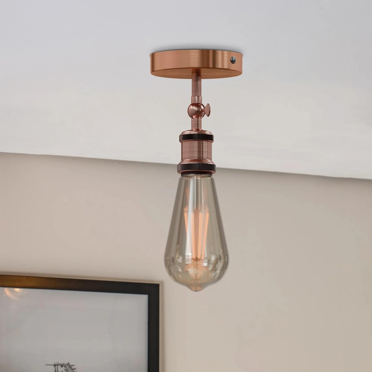 adjustable light fixture ceili