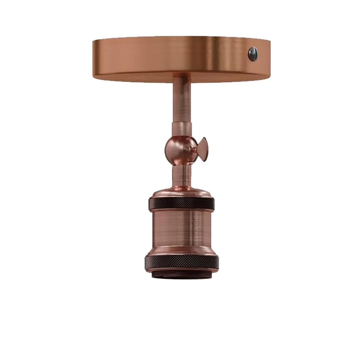 adjustable light fixture ceili