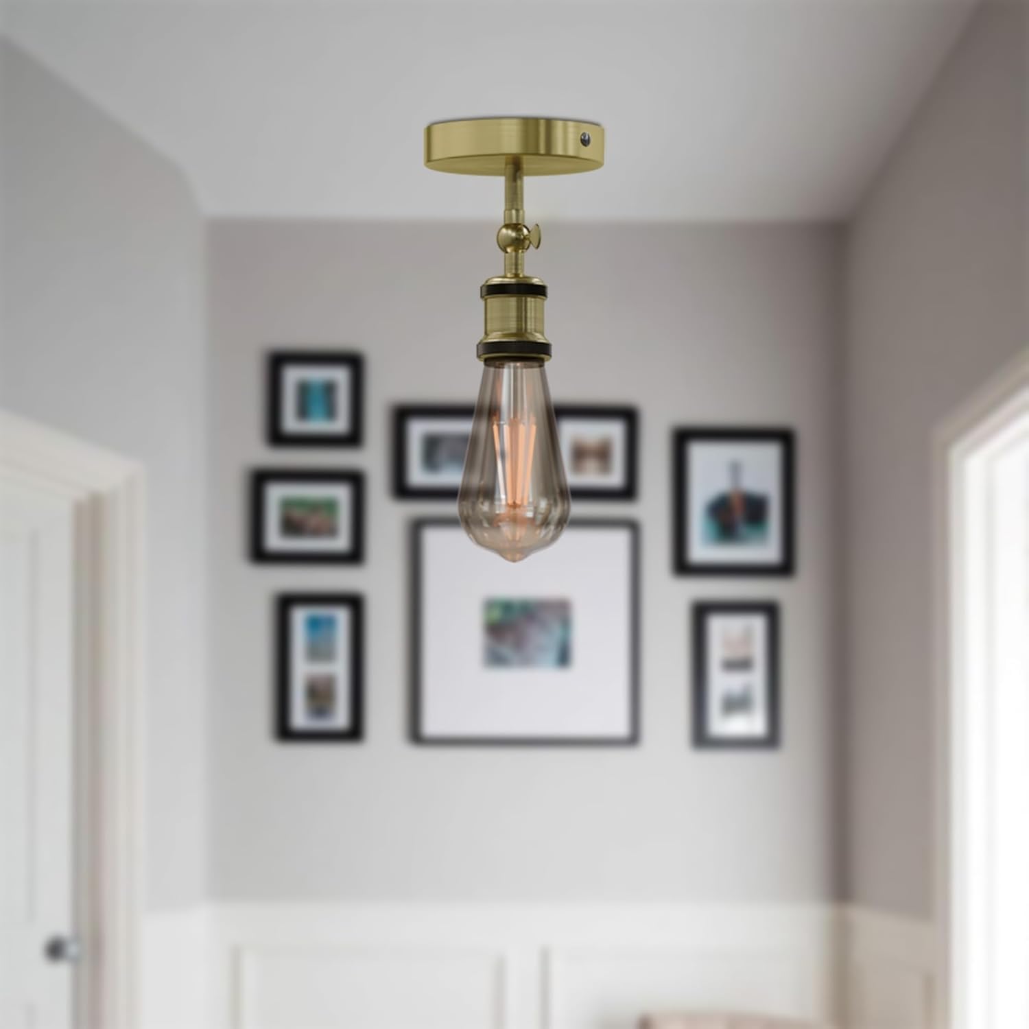 adjustable light fixture ceili