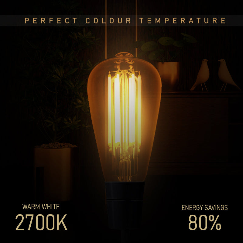 Energieeffiziente 6W LED Edison